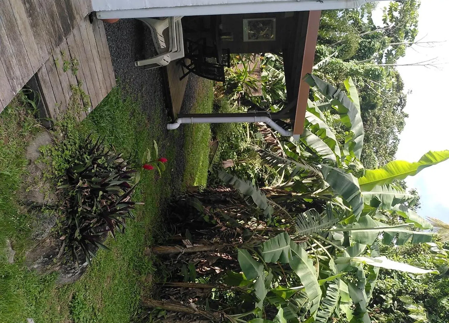 Studio Dans La Foret Tropicale Les Anses-d'Arlets