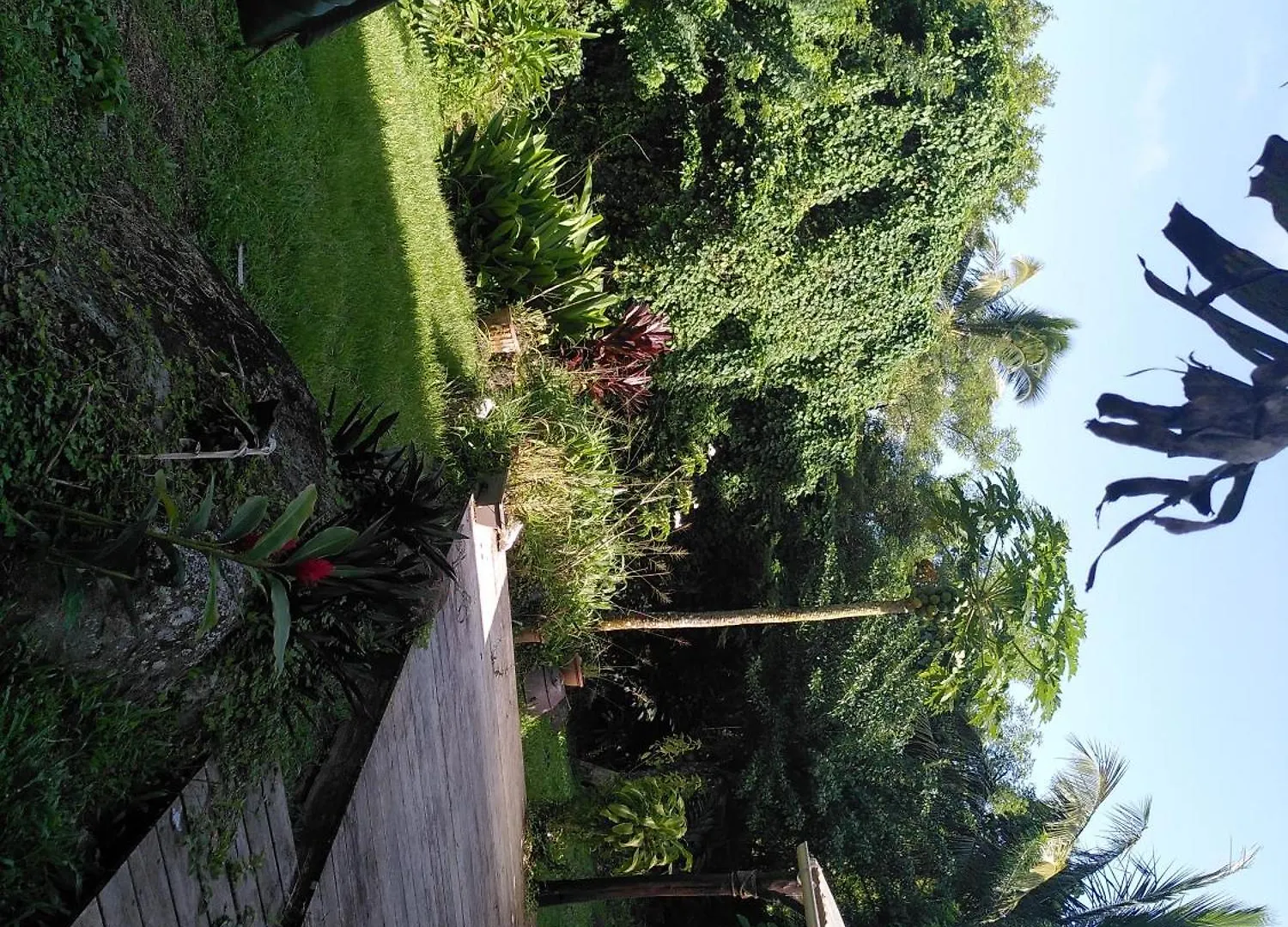 Holiday home Studio Dans La Foret Tropicale Les Anses-d'Arlets